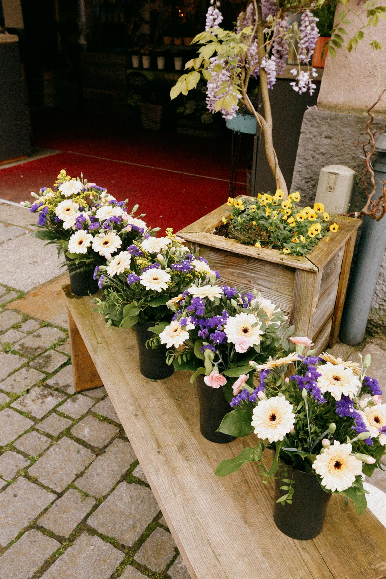 Flower Power Rosenheim am Ludwigsplatz - Blumenabo für Ihr Zuhause