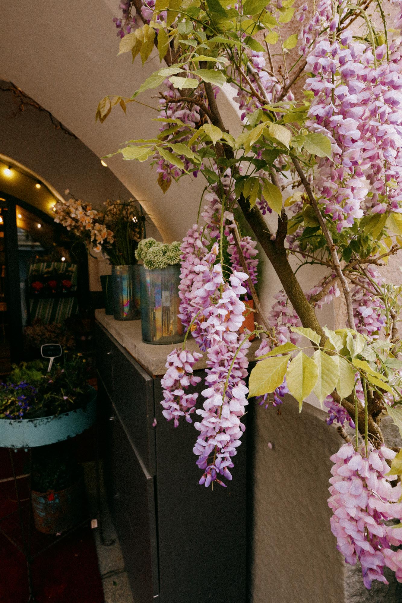 Flower Power Rosenheim - Ihr Blumenfachgeschäft in der Rosenheimer Altstadt